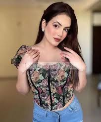 Delhi hotel Escort